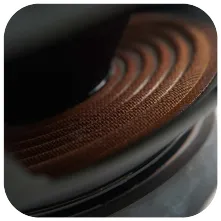 QT0016221